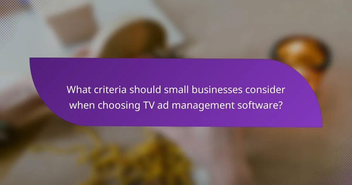 What criteria should small businesses consider when choosing TV ad management software?